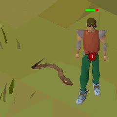 echo boot osrs|My solution to make the Echo Boots viable : r/2007scape .